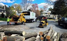 Best Lot and Land Clearing  in Dunkirk, NY