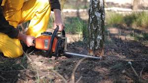 Best Lawn Drainage Solutions  in Dunkirk, NY