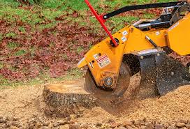 Best Tree Mulching  in Dunkirk, NY