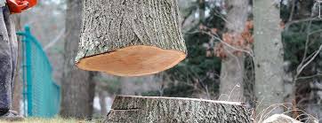 Best Emergency Tree Removal  in Dunkirk, NY