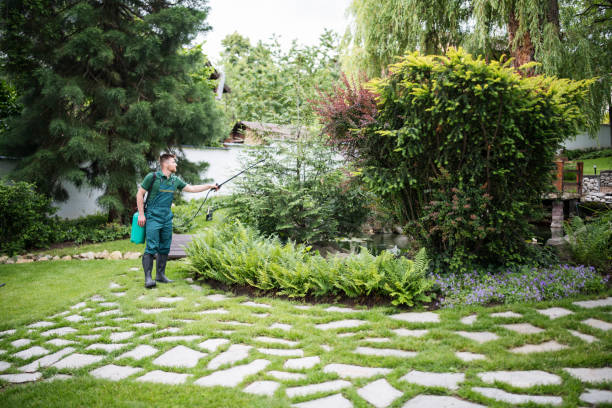 Best Organic Lawn Care Solutions  in Dunkirk, NY