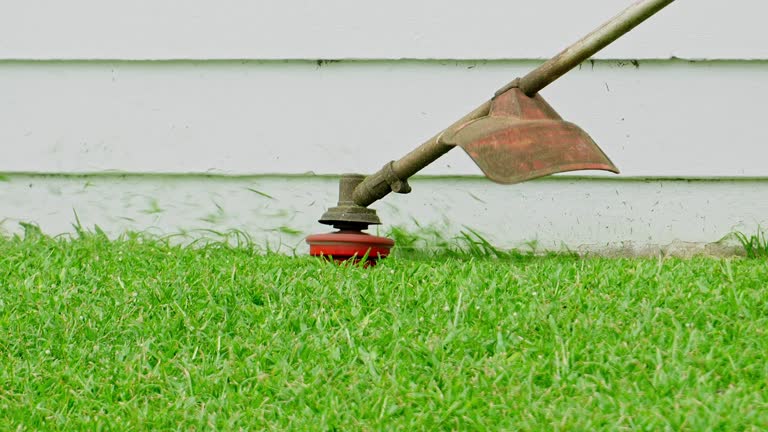 Lawn Grading and Leveling in Dunkirk, NY