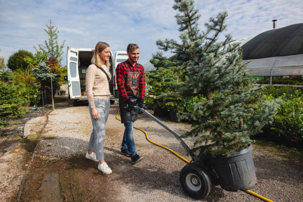 Best Firewood Processing and Delivery  in Dunkirk, NY